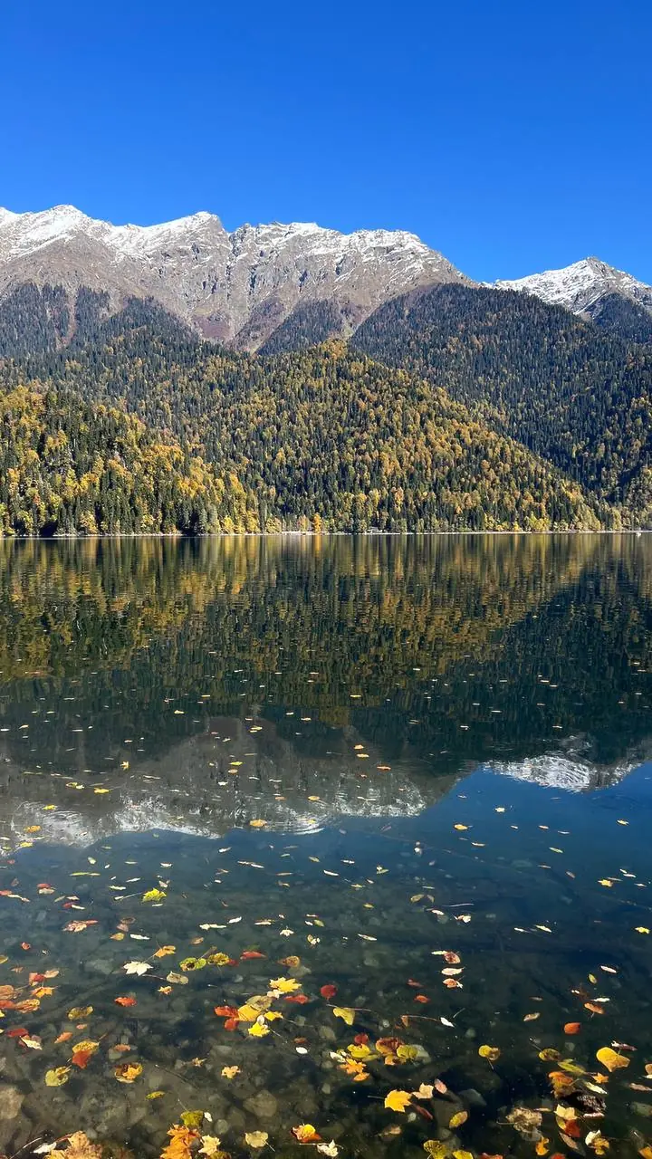 Жёлтые листья на воде Рицы, снежные вершины над озером